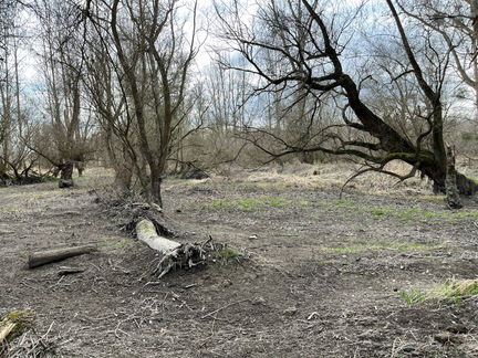 23-02-18 14-43-18 4258